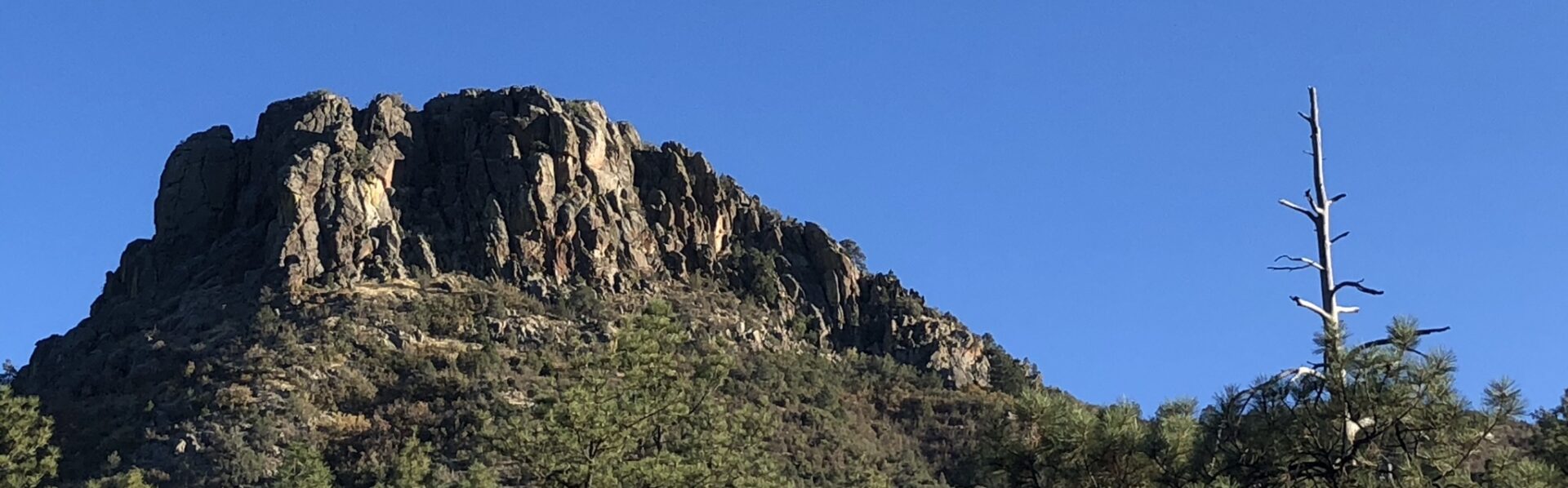 Prescott Shoestring Roundup