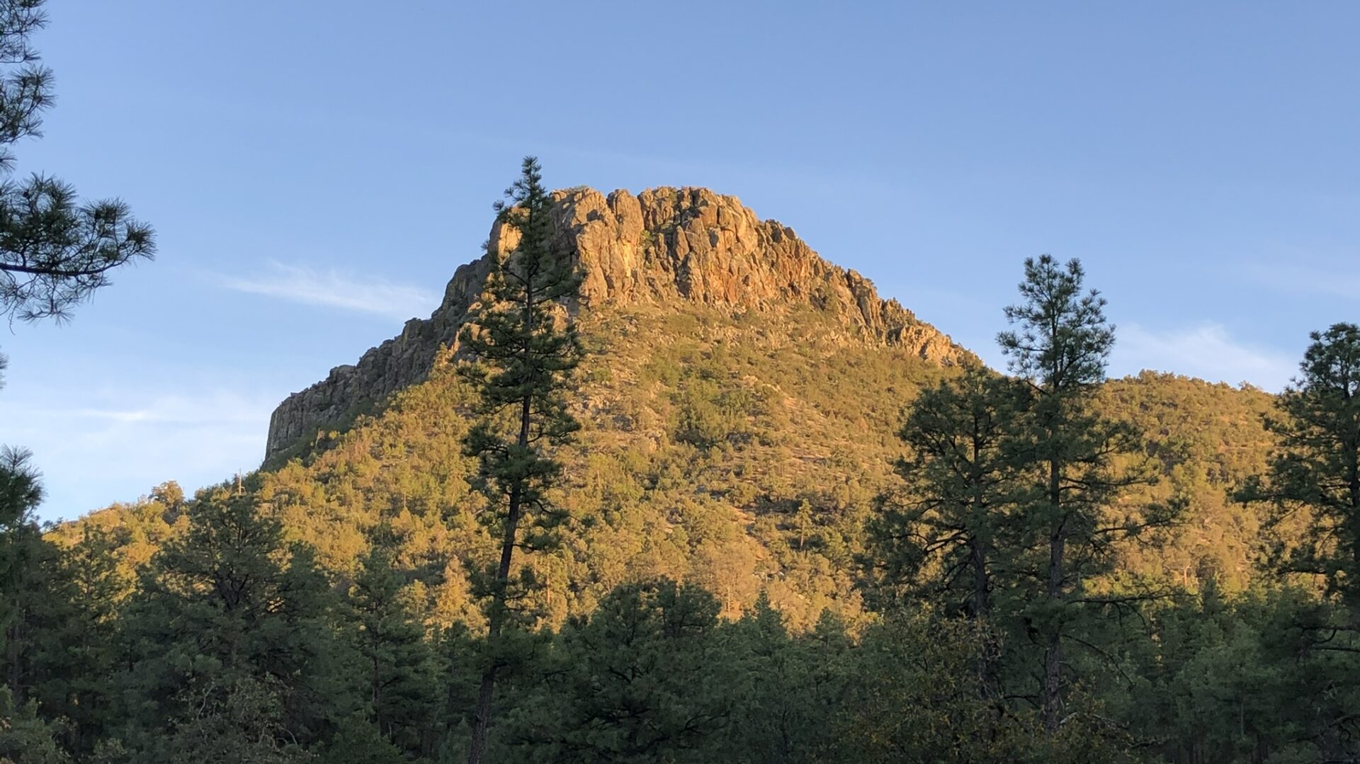 Prescott Shoestring Roundup