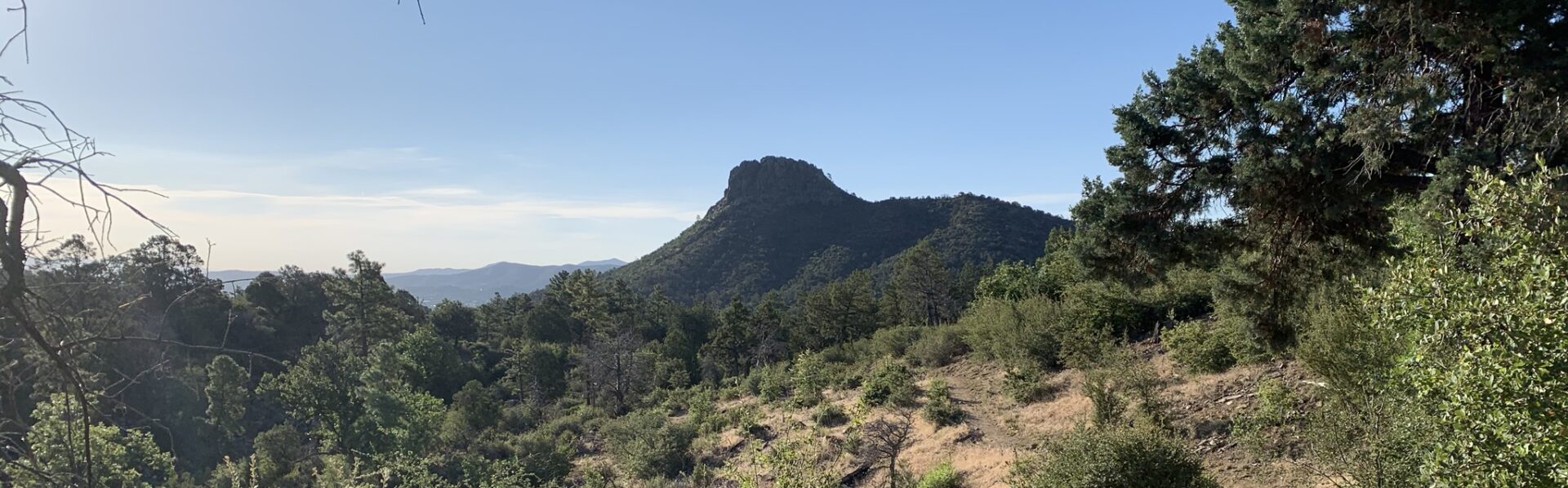 Prescott Shoestring Roundup