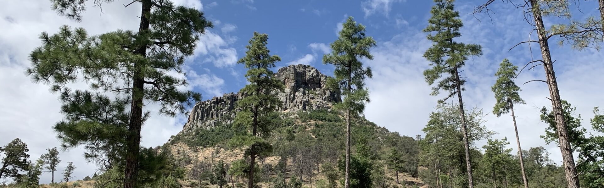 Prescott Shoestring Roundup