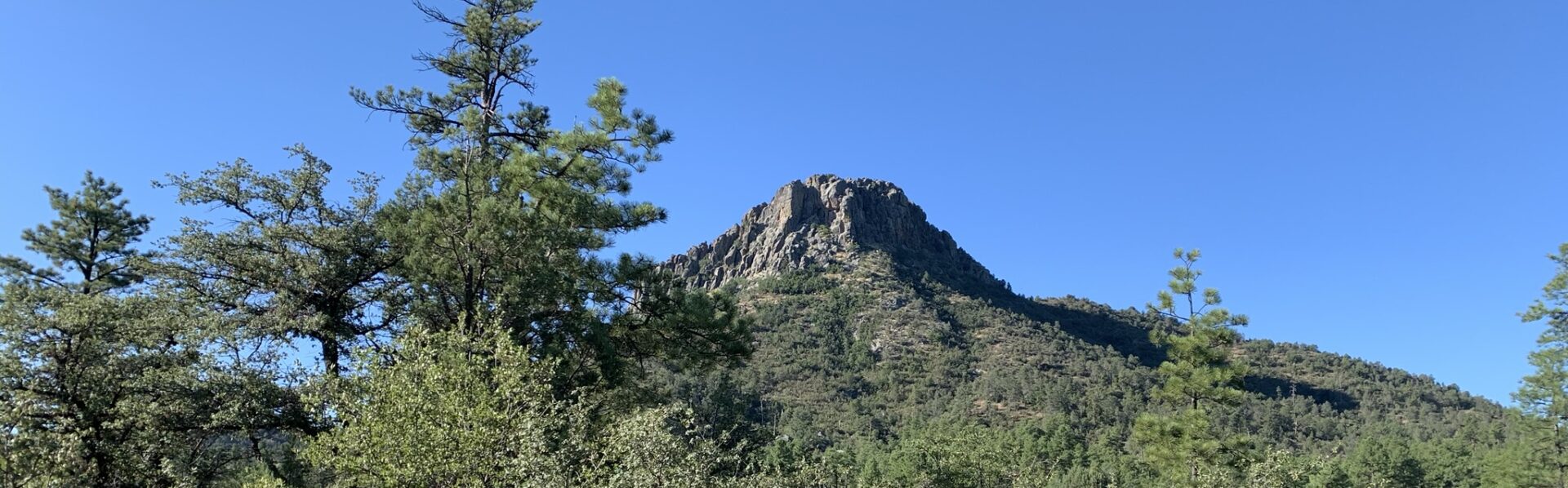 Prescott Shoestring Roundup